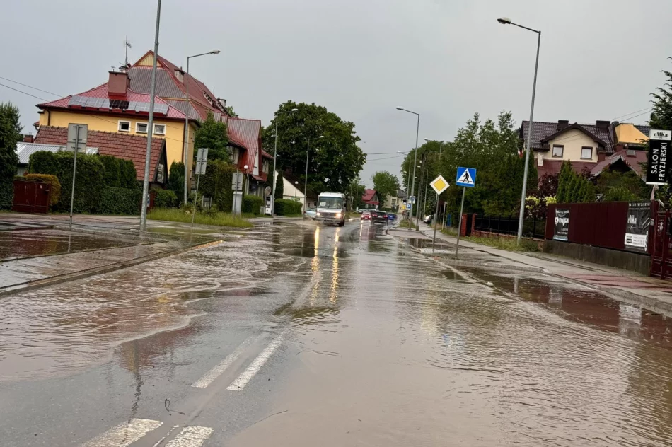 Krótkie opady deszczu zalały ulicę - zdjęcie 2