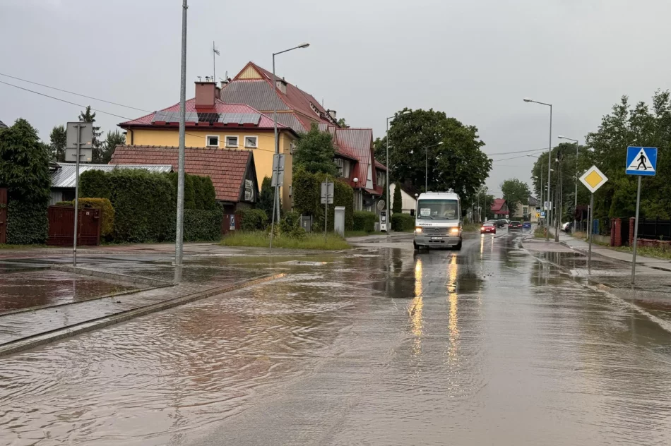 Krótkie opady deszczu zalały ulicę - zdjęcie 4