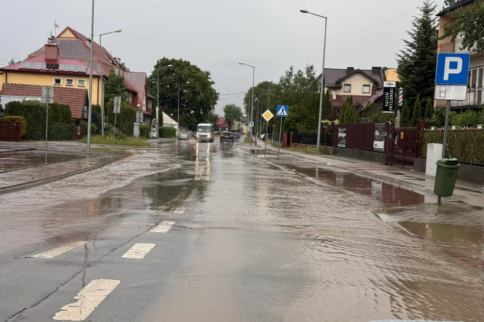 Krótkie opady deszczu zalały ulicę - zdjęcie 5