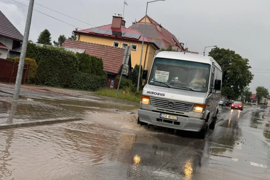 Krótkie opady deszczu zalały ulicę - zdjęcie 6