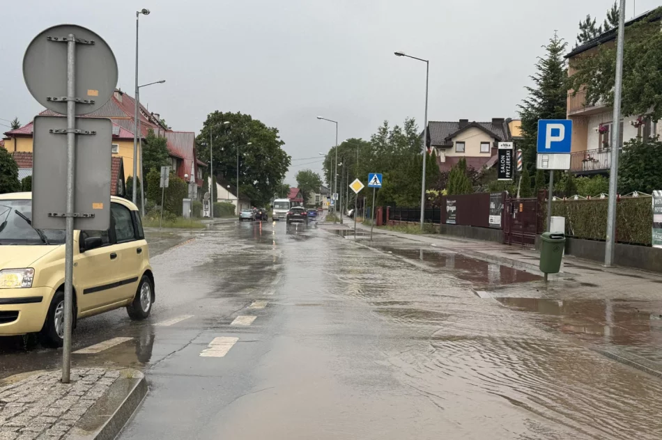 Krótkie opady deszczu zalały ulicę - zdjęcie 7
