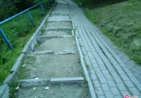 Kto kradnie kostkę z „kociaków”? - zdjęcie główne