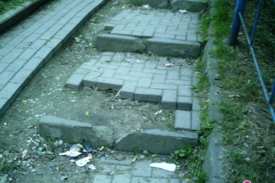 Kto kradnie kostkę z „kociaków”? - zdjęcie 2