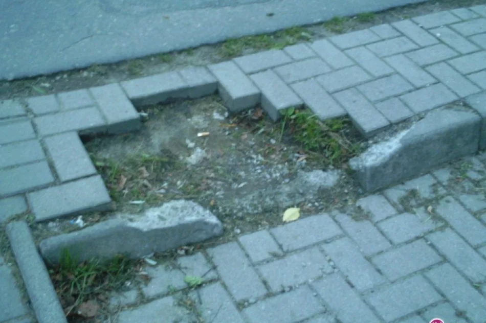 Kto kradnie kostkę z „kociaków”? - zdjęcie 3