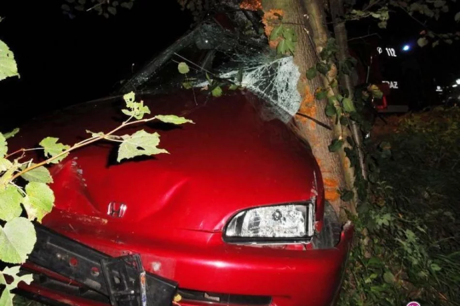 Wjechał w drzewo i porzucił samochód - zdjęcie 2