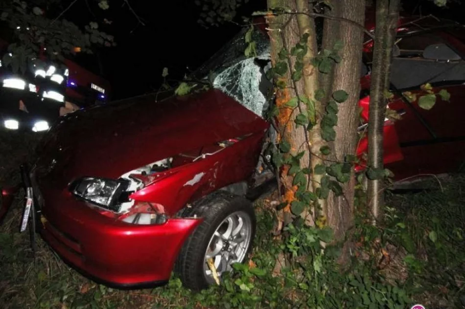 Wjechał w drzewo i porzucił samochód - zdjęcie 3