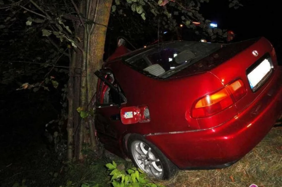 Wjechał w drzewo i porzucił samochód - zdjęcie 4