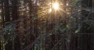 XIV Beskidzkie Camino - relacja - zdjęcie 2