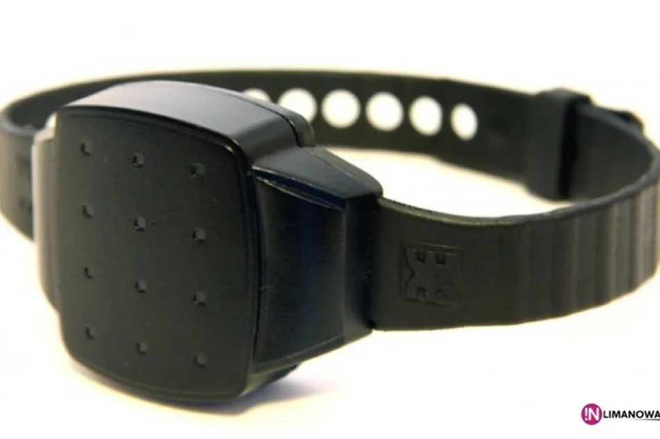 11 osób w 'areszcie domowym' - zdjęcie 2