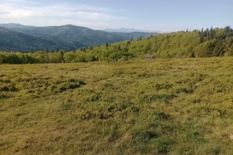XIV Beskidzkie Camino - relacja - zdjęcie 19