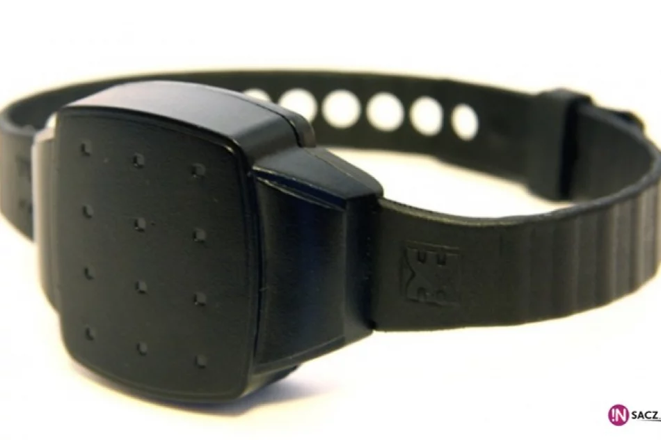 11 osób w 'areszcie domowym' - zdjęcie 2