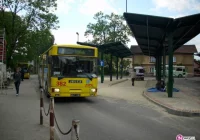 Będą zniżki dla wszystkich rencistów? - zdjęcie główne