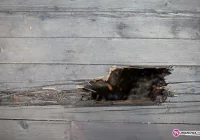 Już nie wszyscy dojadą - zdjęcie główne