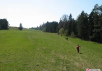 16 kilometrów nowego szlaku - zdjęcie główne