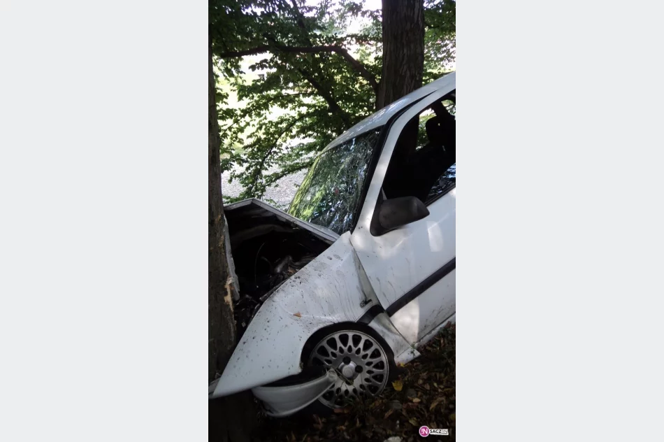 Kobieta w ciąży i dziecko poszkodowani w wypadku - zdjęcie 3