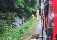 Dachowanie w przydrożnym rowie - zdjęcie główne