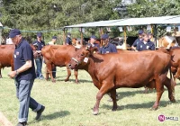 Wielki sukces Agropromocji - zdjęcie główne