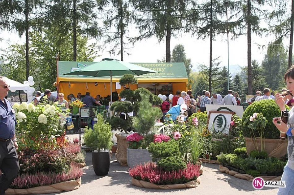 Wielki sukces Agropromocji - zdjęcie 2