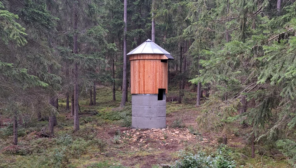 “Bat huts” w limanowskich lasach - zdjęcie 1
