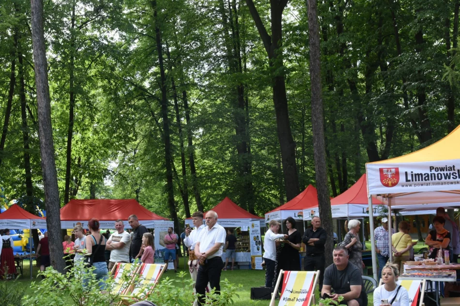 Przegląd orkiestr dętych - wyniki i nagrody (ZDJĘCIA) - zdjęcie 5