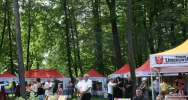 Przegląd orkiestr dętych - wyniki i nagrody (ZDJĘCIA) - zdjęcie 5