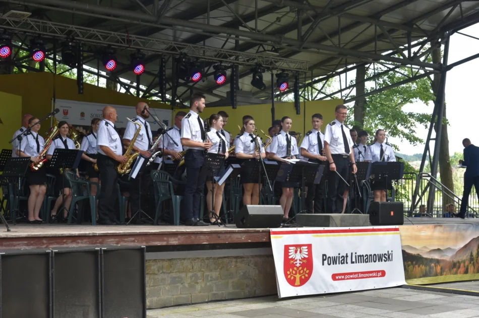 Przegląd orkiestr dętych - wyniki i nagrody (ZDJĘCIA) - zdjęcie 20