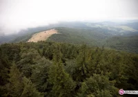 Co i gdzie w ten weekend? - zdjęcie główne