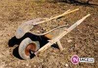 Bezrobotni będą usuwać skutki powodzi - zdjęcie główne