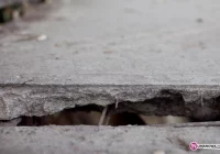 Obiecanki burmistrza - most na Targowej - zdjęcie główne