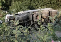 Przewrócił się samochód z masą - zdjęcie główne