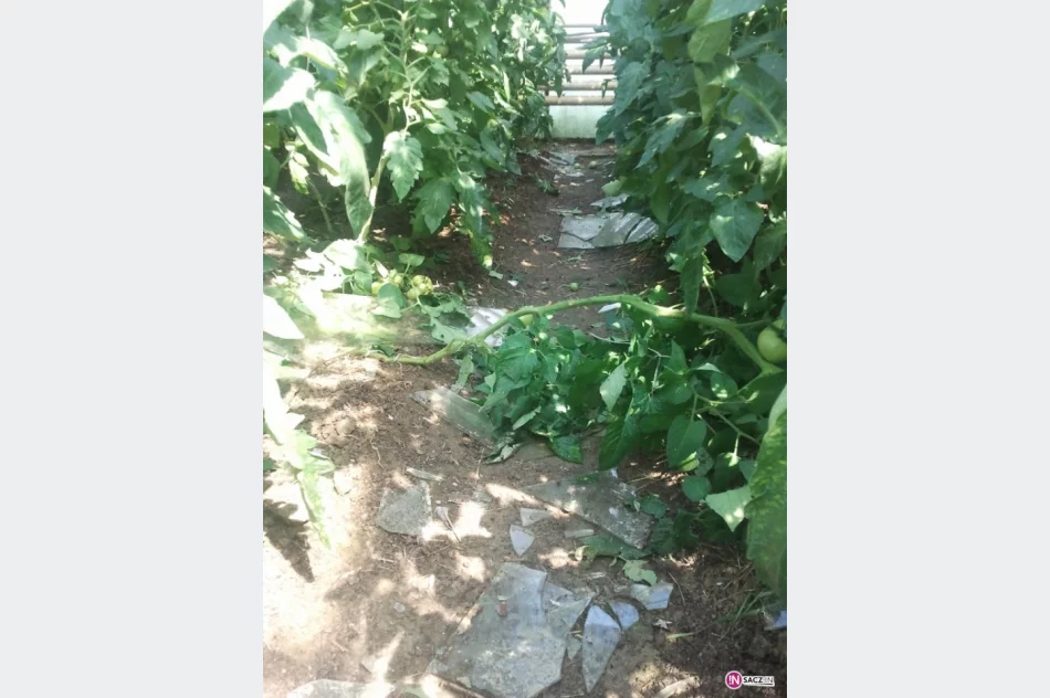 Grad zniszczył trzy wsie - zdjęcie 3