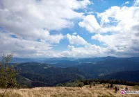 Co i gdzie w ten weekend? - zdjęcie główne