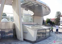 Buzodrom jak… szklarnia - zdjęcie główne