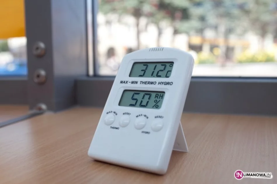 Buzodrom jak… szklarnia - zdjęcie 3