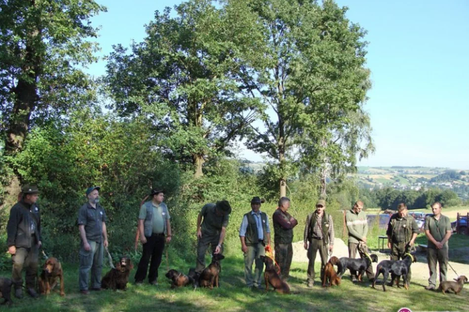 Konkurs psów myśliwskich - zdjęcie 3