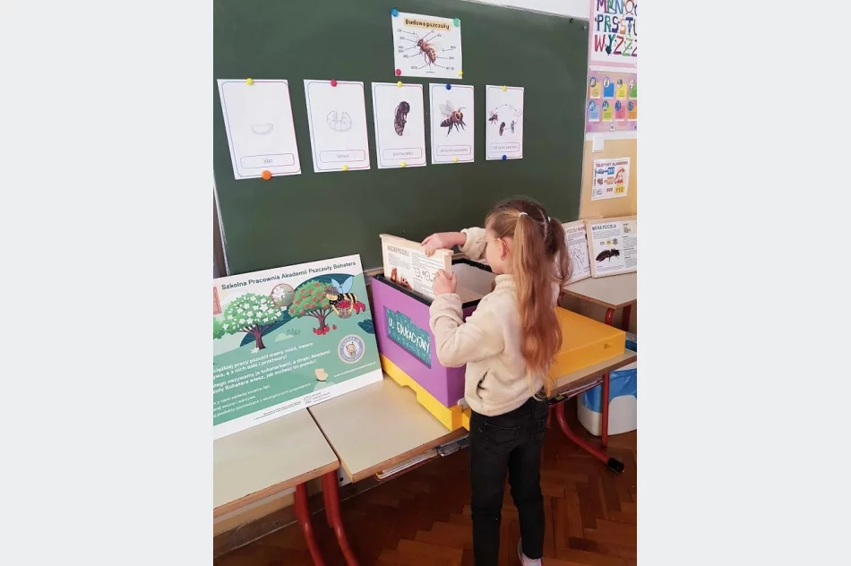 Podsumowanie projektu „Akademia Pszczoły Bohatera” w Szkole Podstawowej nr 1 w Męcinie - zdjęcie 15