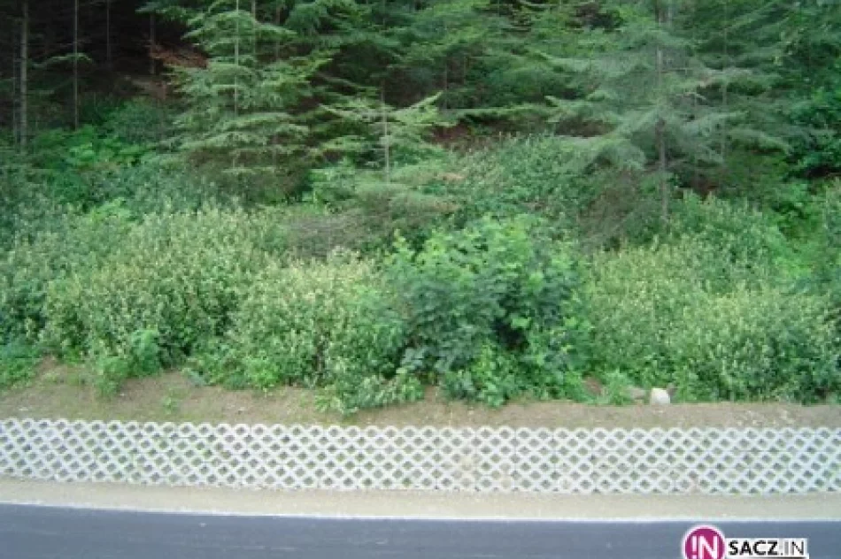 Droga Witowice-Rożnów już po remoncie - zdjęcie 4