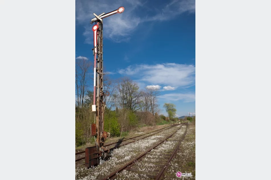 Szynobusem z Nowego Sącza do Limanowej - zdjęcie 2