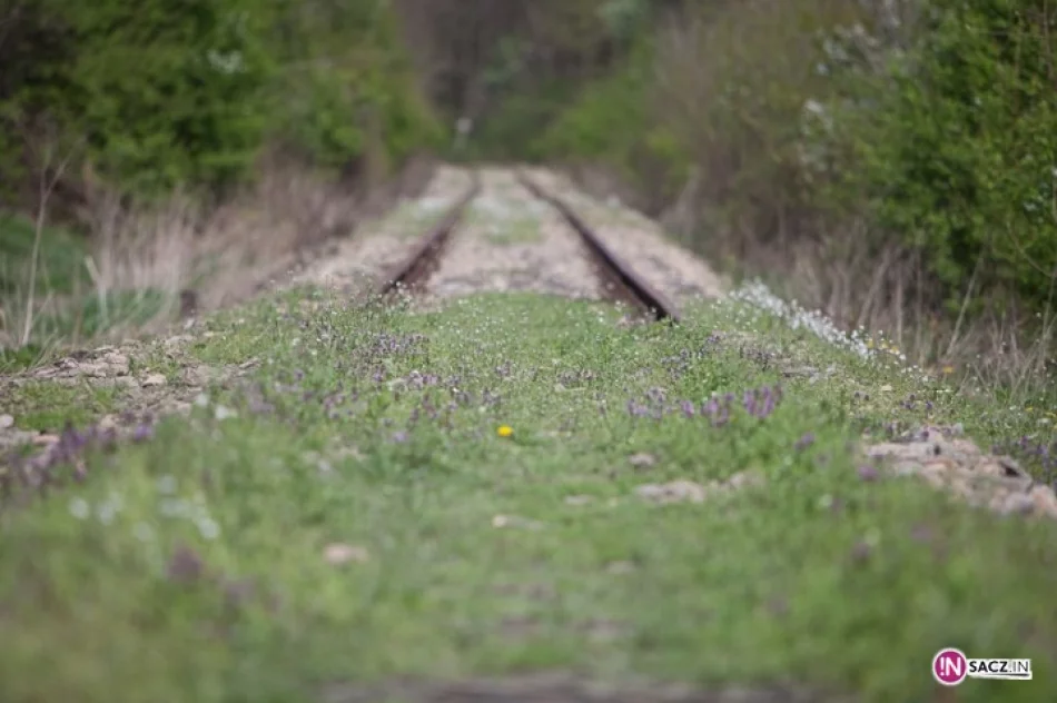 Szynobusem z Nowego Sącza do Limanowej - zdjęcie 3