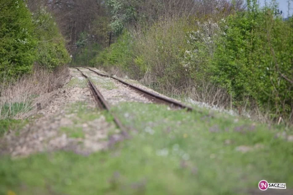 Szynobusem z Nowego Sącza do Limanowej - zdjęcie 4