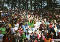 Była Kostrza, będzie Sałasz - zdjęcie główne