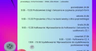 WAKACJE W MUZEUM – zapisy na zajęcia już ruszają - zdjęcie 4