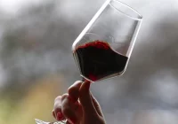 Eksperci: rynek wina w Polsce szybko się rozwija - zdjęcie główne