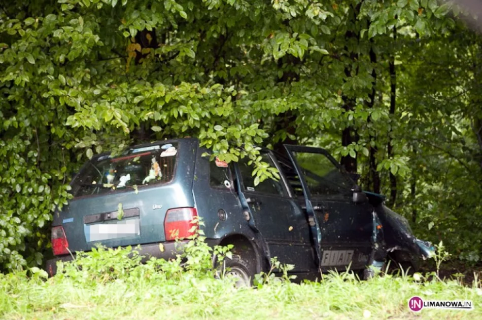 Samochód uderzył w drzewa - zdjęcie 2