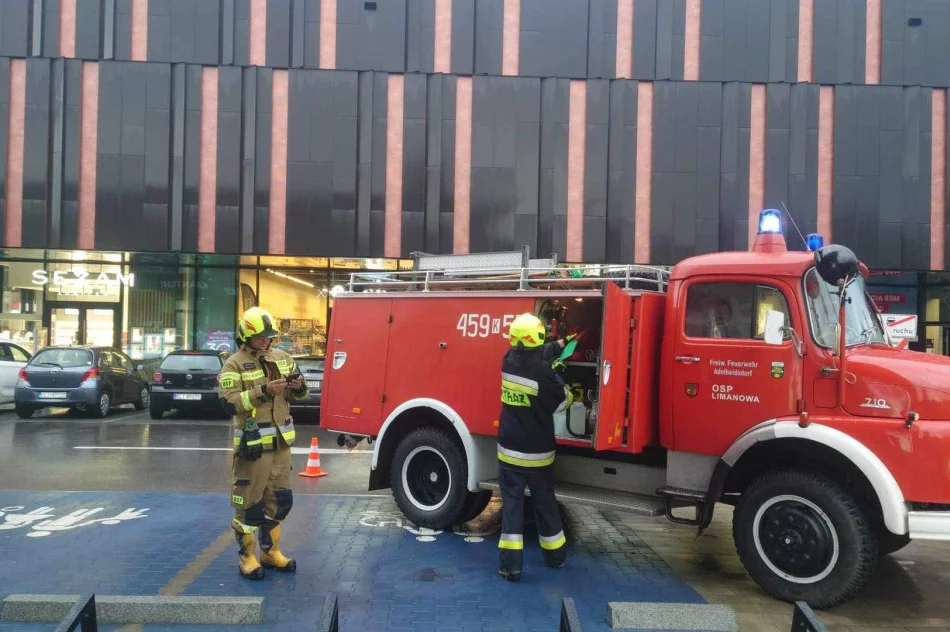 Aż 45 interwencji. Zalane domy i sklepy, osunięcia ziemi - zdjęcie 2