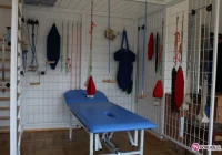 Otwarcie Centrum Rehabilitacji w Pagorzynie - zdjęcie główne