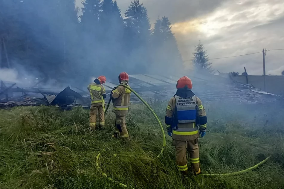 Pożar stodoły, w akcji powiatowy pluton zaopatrzenia wodnego - zdjęcie 4
