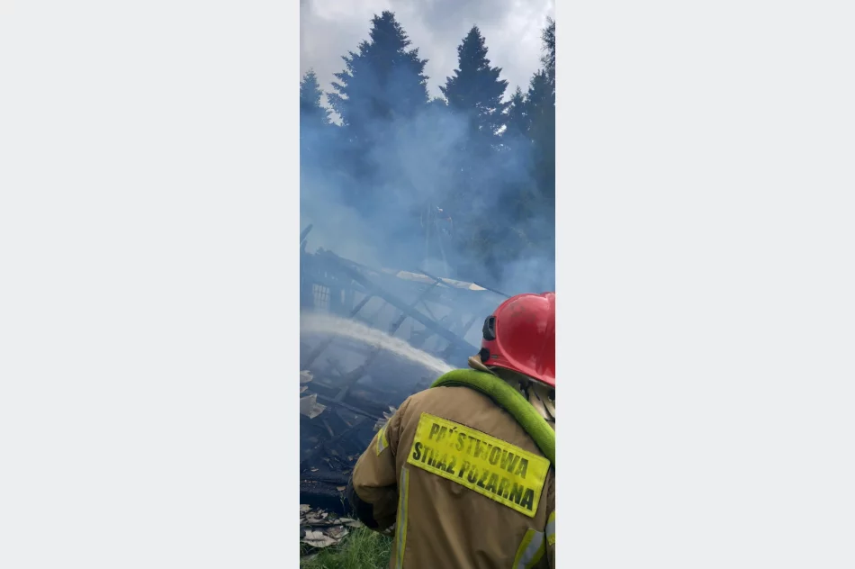 Pożar stodoły, w akcji powiatowy pluton zaopatrzenia wodnego - zdjęcie 5