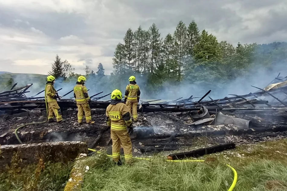 Pożar stodoły, w akcji powiatowy pluton zaopatrzenia wodnego - zdjęcie 7