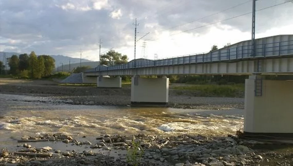 Regulacja brzegu ocali most - zdjęcie 1